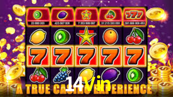 Descubra a Essência do 14Vin: Nossa História e Compromissos